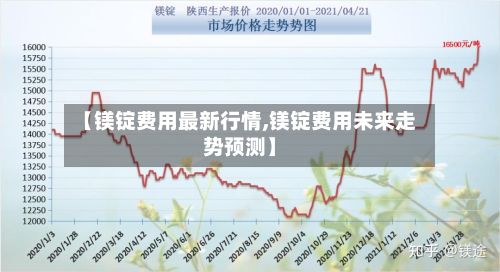 【镁锭费用最新行情,镁锭费用未来走势预测】