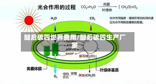 醚后碳四世界费用/醚后碳四生产厂家-第3张图片