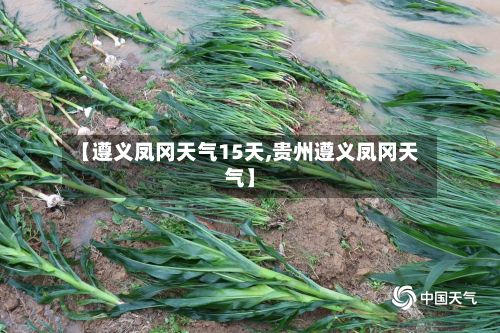 【遵义凤冈天气15天,贵州遵义凤冈天气】