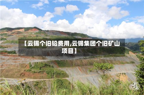 【云锡个旧铅费用,云锡集团个旧矿山项目】-第2张图片
