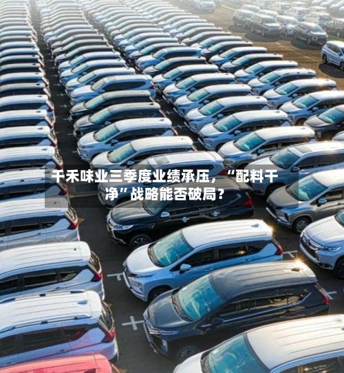 千禾味业三季度业绩承压	，“配料干净”战略能否破局？-第3张图片