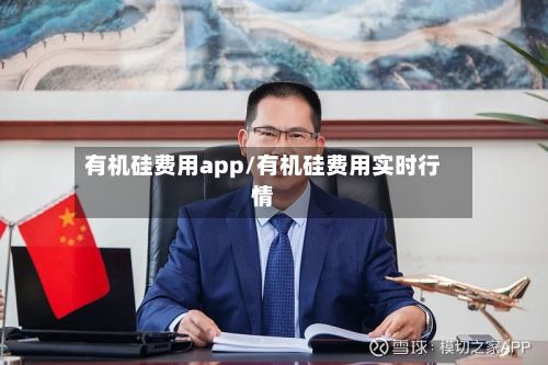 有机硅费用app/有机硅费用实时行情-第2张图片