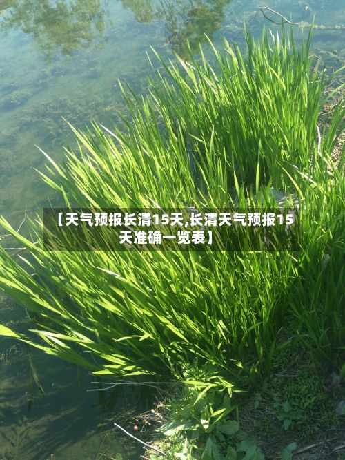 【天气预报长清15天,长清天气预报15天准确一览表】-第2张图片