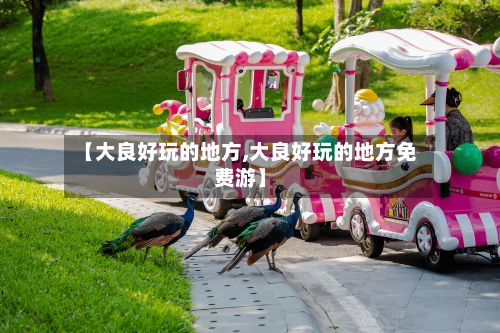 【大良好玩的地方,大良好玩的地方免费游】