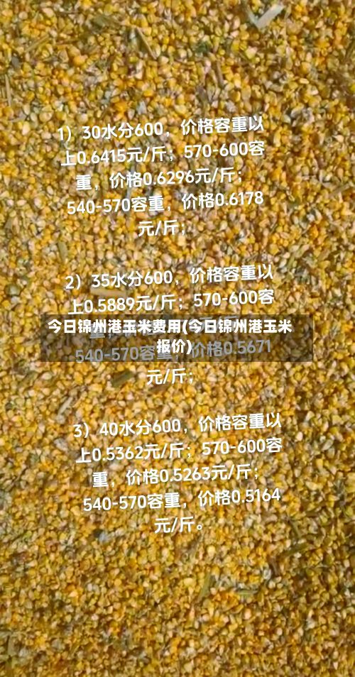 今日锦州港玉米费用(今日锦州港玉米报价)