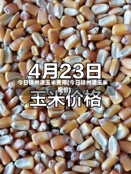 今日锦州港玉米费用(今日锦州港玉米报价)-第3张图片