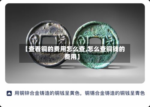 【查看铜的费用怎么查,怎么查铜钱的费用】-第2张图片