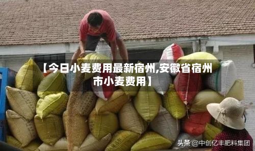 【今日小麦费用最新宿州,安徽省宿州市小麦费用】