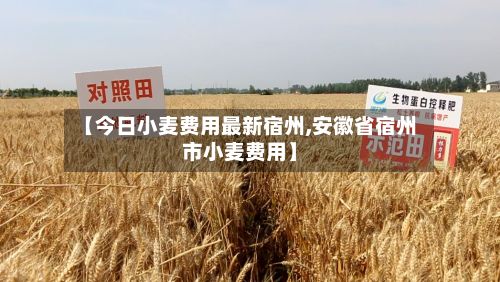【今日小麦费用最新宿州,安徽省宿州市小麦费用】-第3张图片