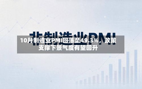 10月制造业PMI回落至49.3%，政策支撑下景气度有望回升-第3张图片