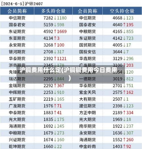 沪铜费用什么定(沪铜铜费用今日费用)-第3张图片