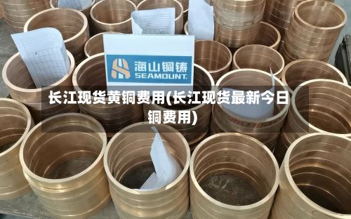长江现货黄铜费用(长江现货最新今日铜费用)-第2张图片