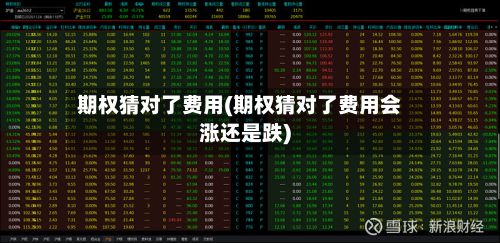 期权猜对了费用(期权猜对了费用会涨还是跌)-第3张图片