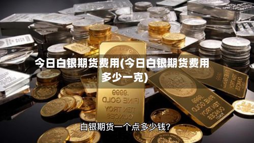 今日白银期货费用(今日白银期货费用多少一克)-第2张图片