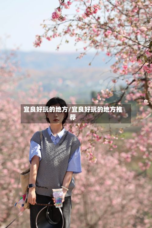 宜良好玩的地方/宜良好玩的地方推荐