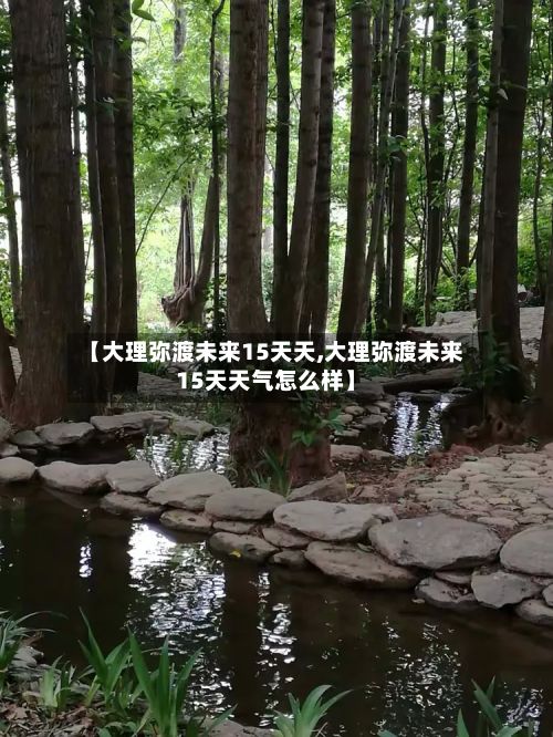 【大理弥渡未来15天天,大理弥渡未来15天天气怎么样】-第3张图片
