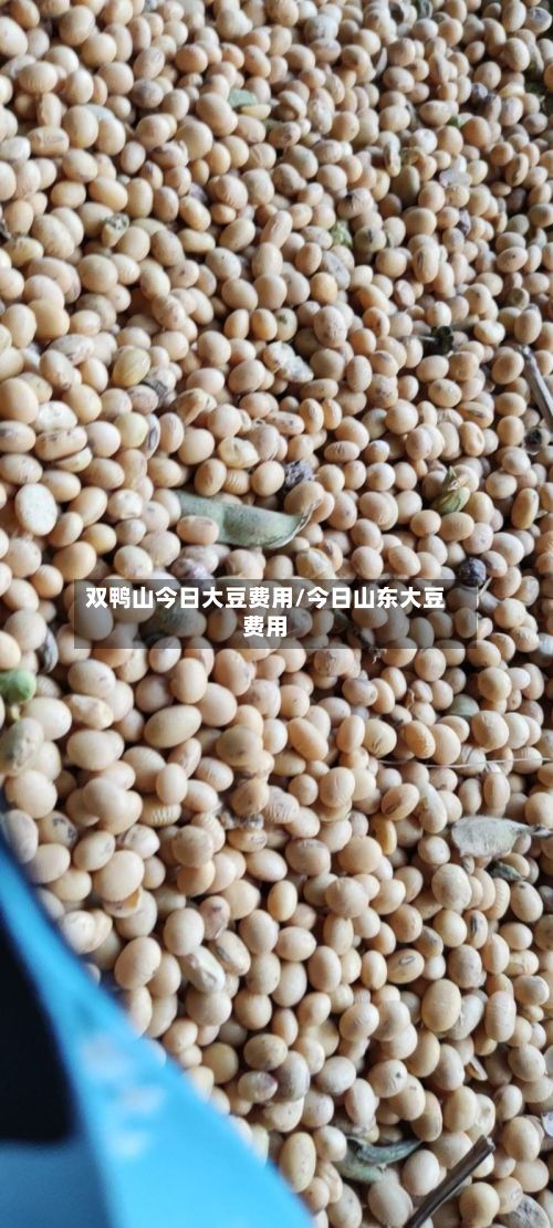 双鸭山今日大豆费用/今日山东大豆费用