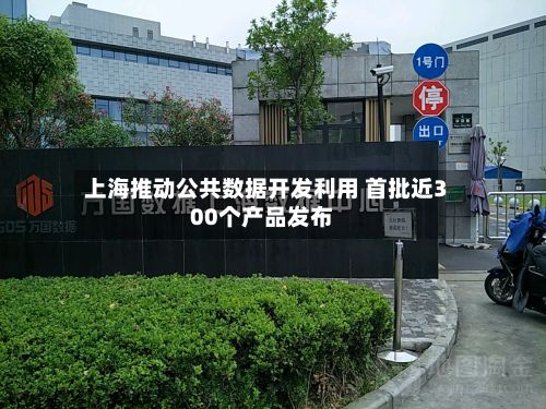 上海推动公共数据开发利用 首批近300个产品发布-第3张图片