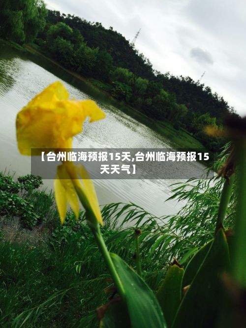 【台州临海预报15天,台州临海预报15天天气】
