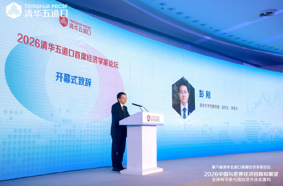 清华大学彭刚：推动人民币国际化	、积极参与全球金融治理改革	，是加快建设金融强国应有之义