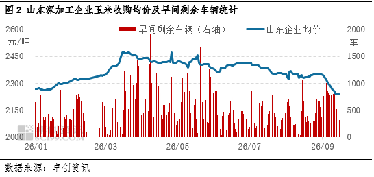 “玉	”见未来：华北新季玉米价格持续下跌	，东北产区如何应对？